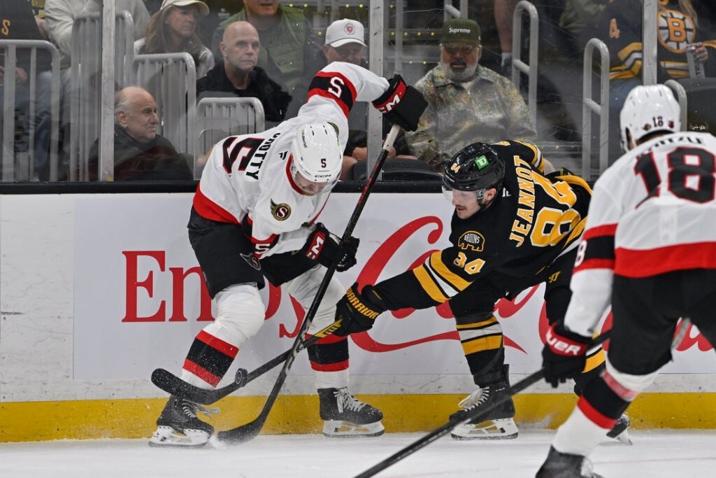 Senators Bruins