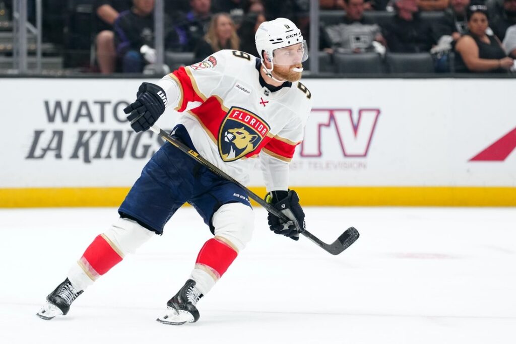 florida panthers