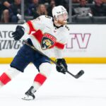 florida panthers