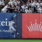 Rays, Yankees