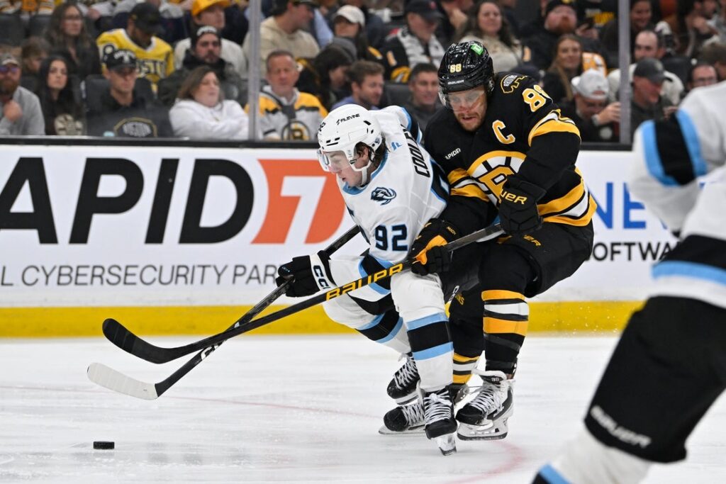 Boston Bruins