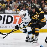 Boston Bruins