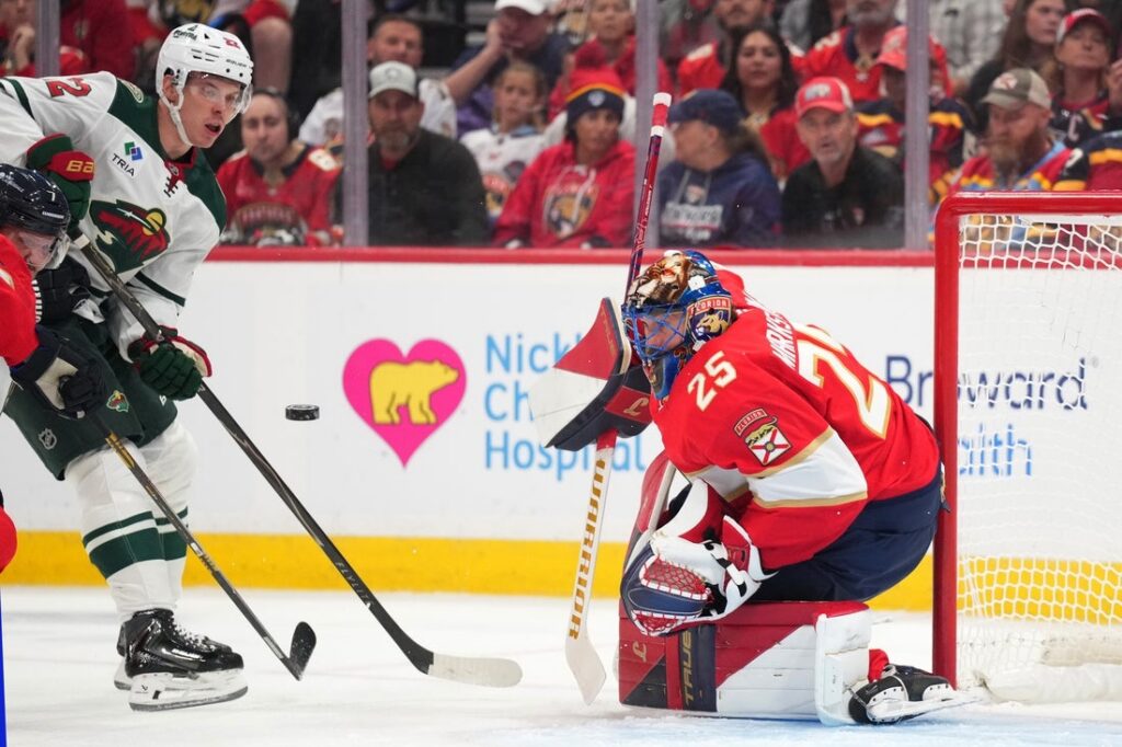 Panthers, Wild