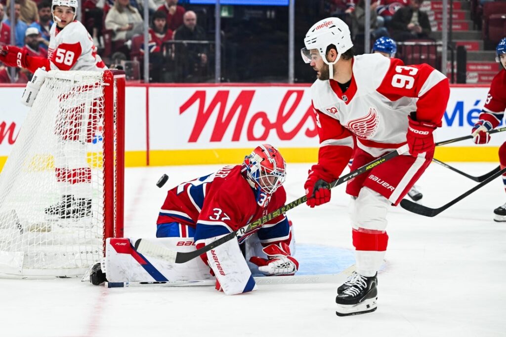 detroit Red Wings