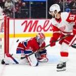 detroit Red Wings