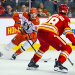 Ducks, Flames