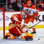 Flames, Ducks