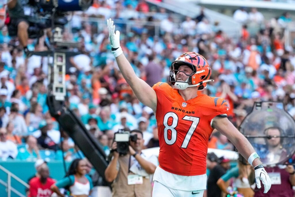 bengals dolphins hudson