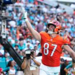 bengals dolphins hudson