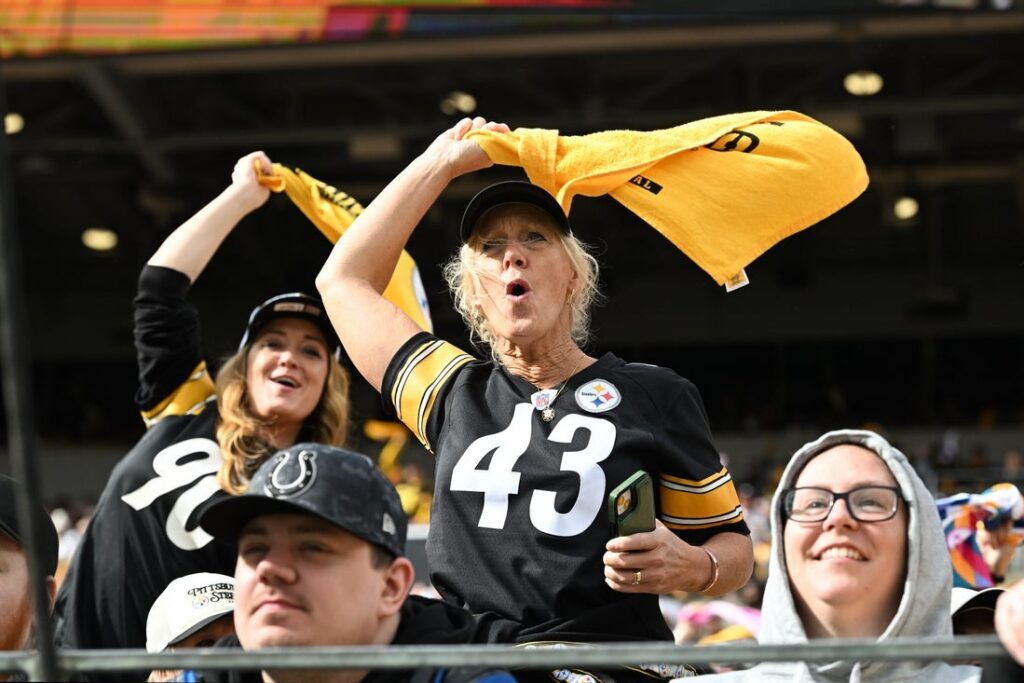 steelers fan