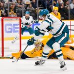 predators sharks