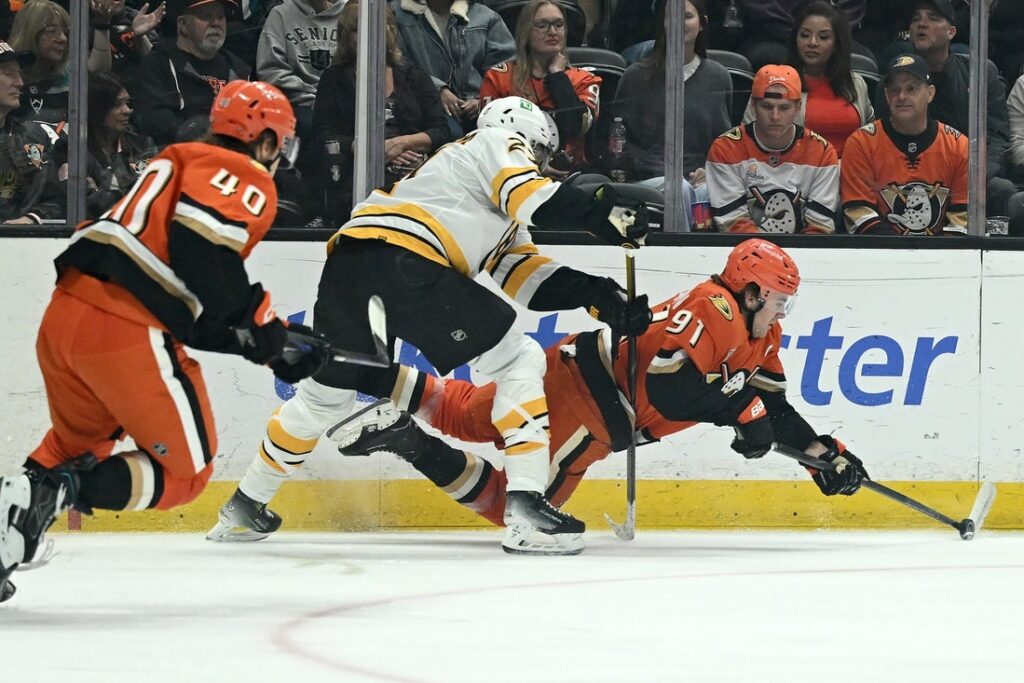 Ducks, Bruins