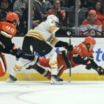 Ducks, Bruins