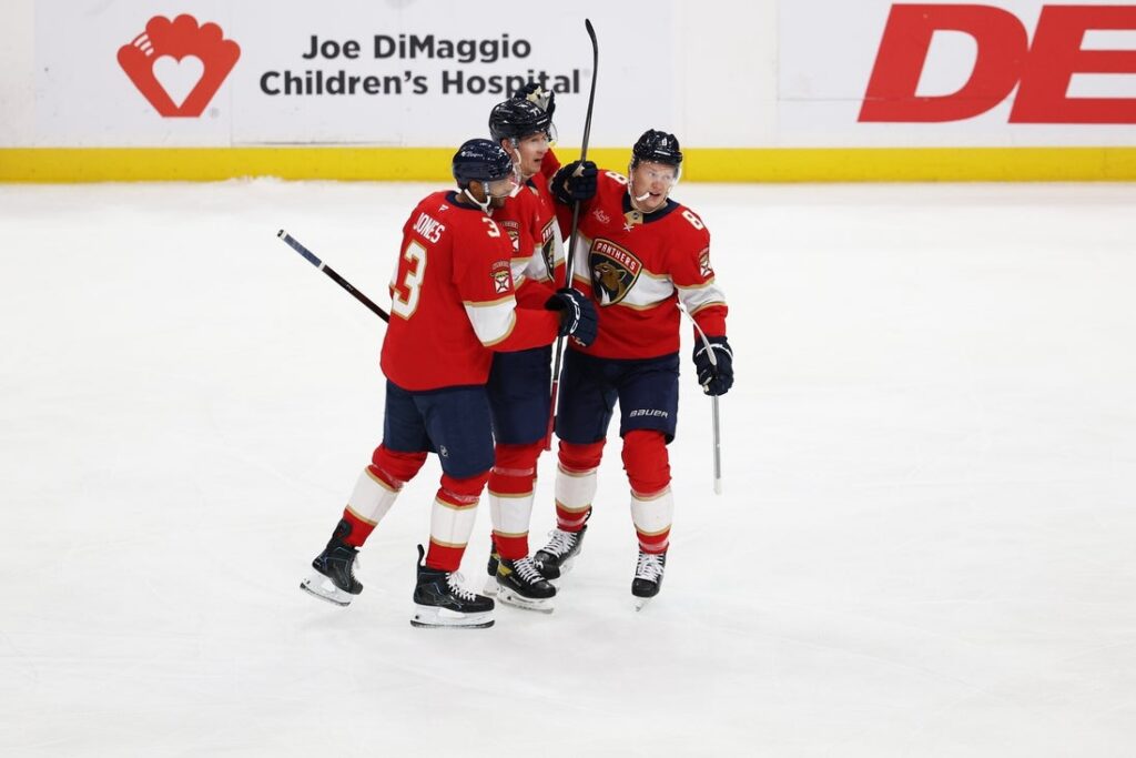 florida panthers