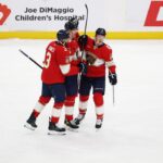 florida panthers