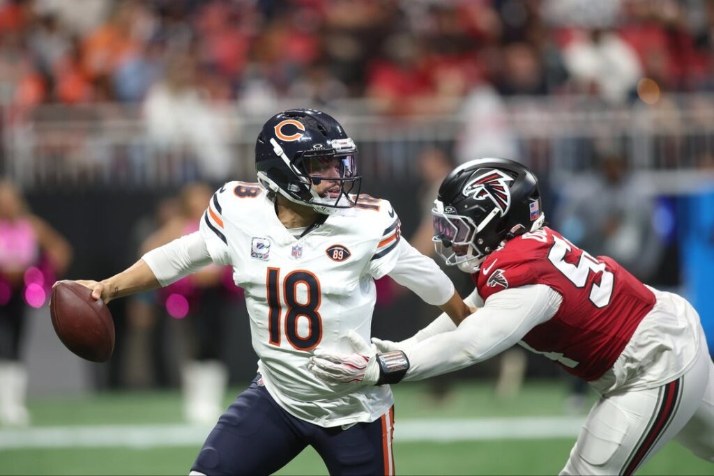 Bears, Falcons