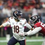 Bears, Falcons