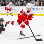 red wings
