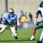 UCLA bruins