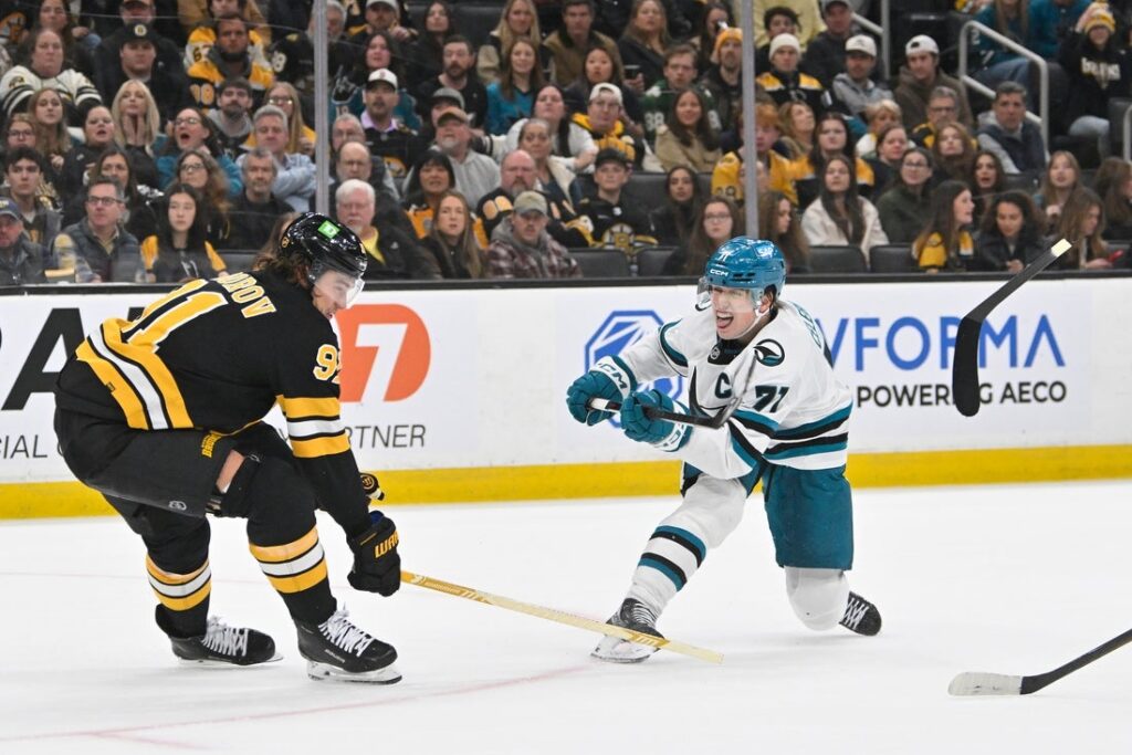 bruins, sharks
