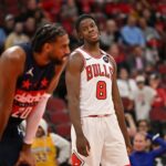 chicago bulls