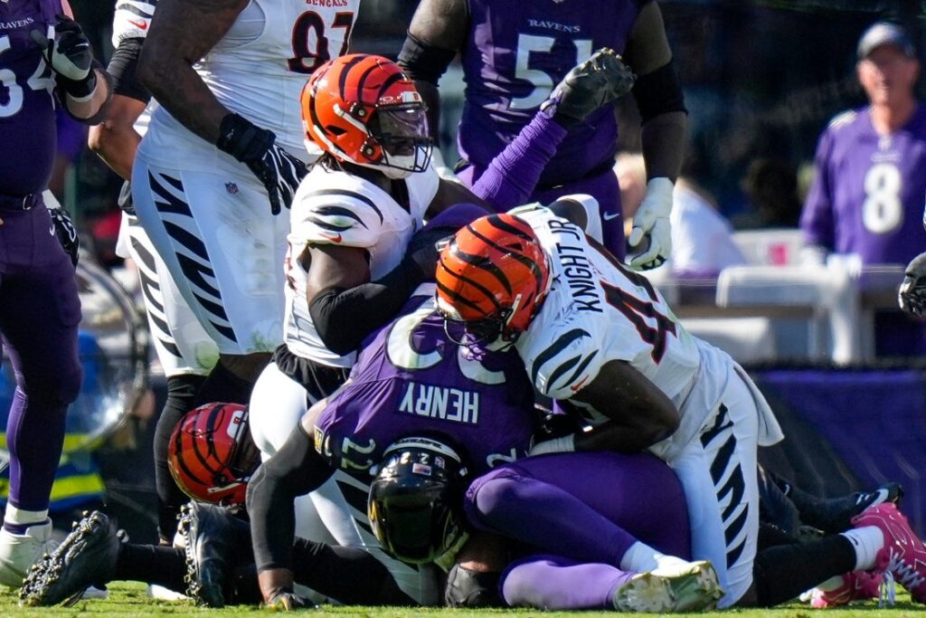 Ravens, Bengals