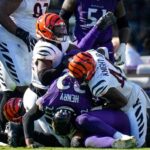 Ravens, Bengals