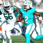 Jets, Dolphins