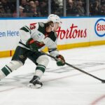 Minnesota Wild hughes