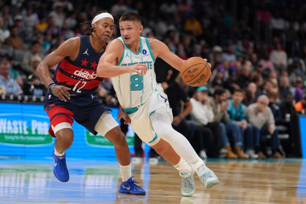 hornets