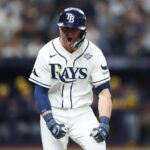 rays, brewers